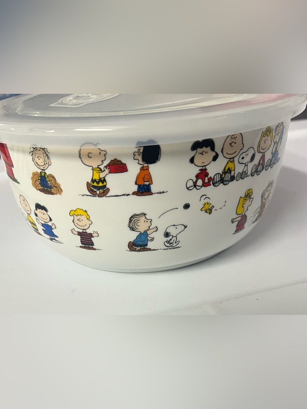 Snoopy & Peanuts Gang Large Nesting Bowl with Pressure Release Lid